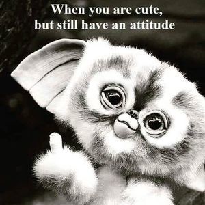 Meet your Posher, Ashby